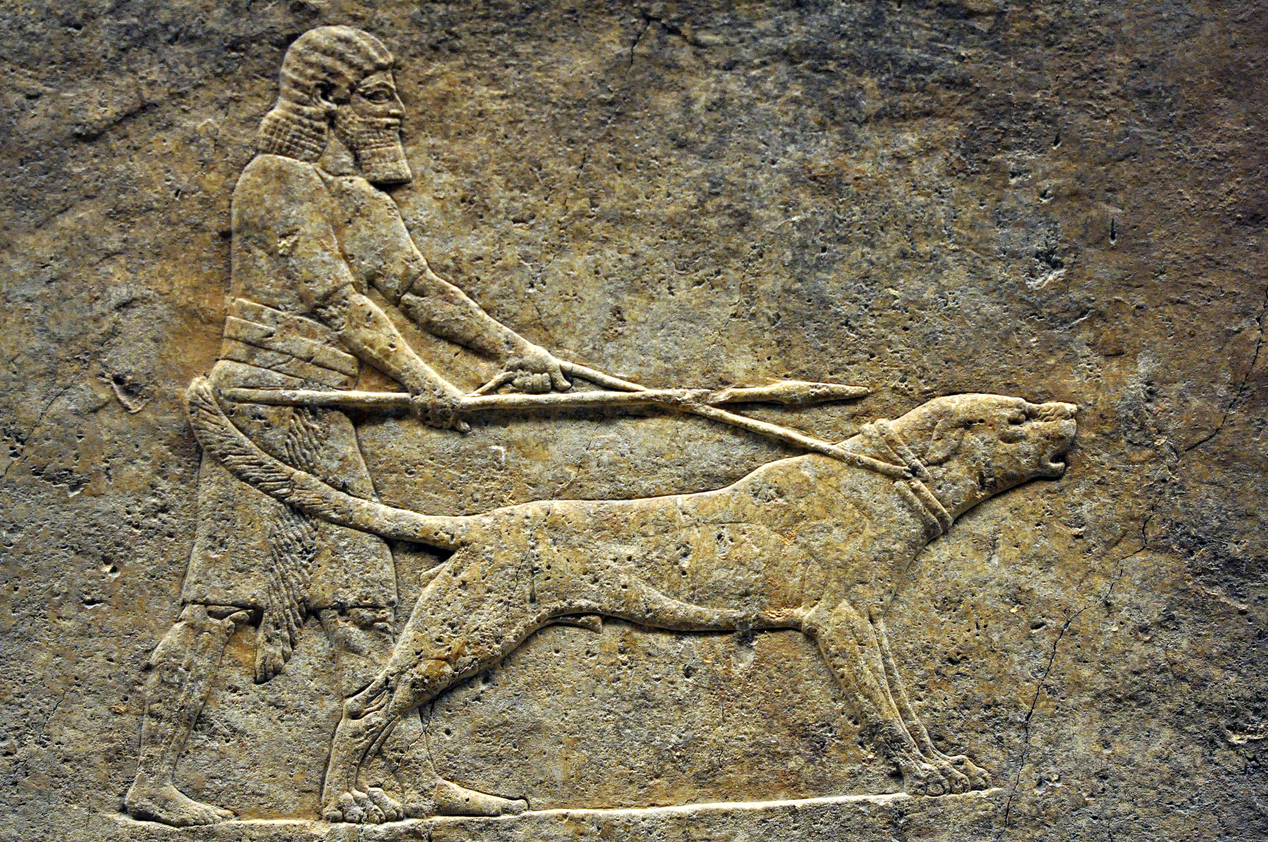 В четвертом моем походе бог ашшур. Ассирия охота на Львов рельеф. Охота на Львов рельеф из дворца Ашшурбанипала. Ассирийский царь Ашшурбанипал древний рельеф. Рельефы Ашшурбанипала охота на Львов.