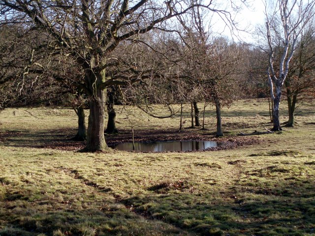 Dew Pond on Knettishall Heath - geograph.org.uk - 911519