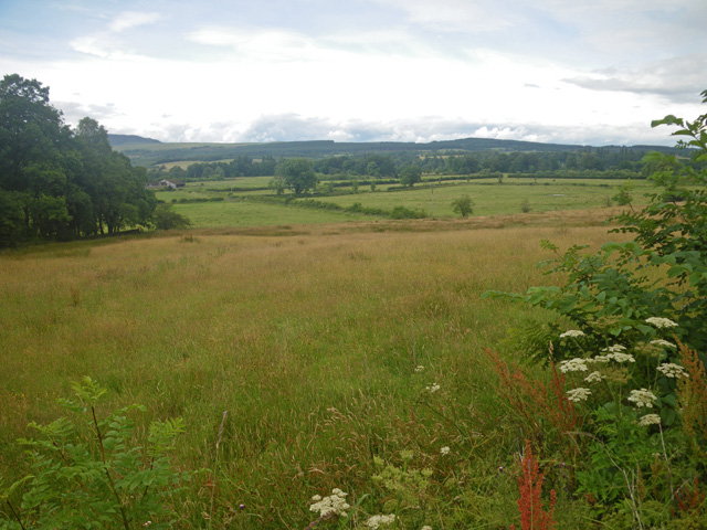 File:Expansive undulating meadow at woodland edge - geograph.org.uk - 1448180.jpg