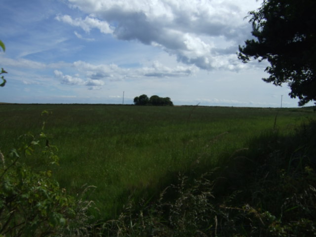 File:Farmland near High Hauxley - geograph.org.uk - 3049722.jpg