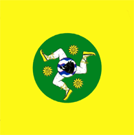 File:Flag of Sărata-Galbenă.gif