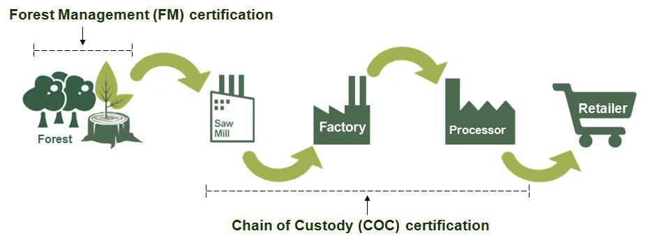 Forest management. Цепочка поставок FSC. Сертификация Цепочки поставок. Цепочка поставки древесины. FSC сертификация.