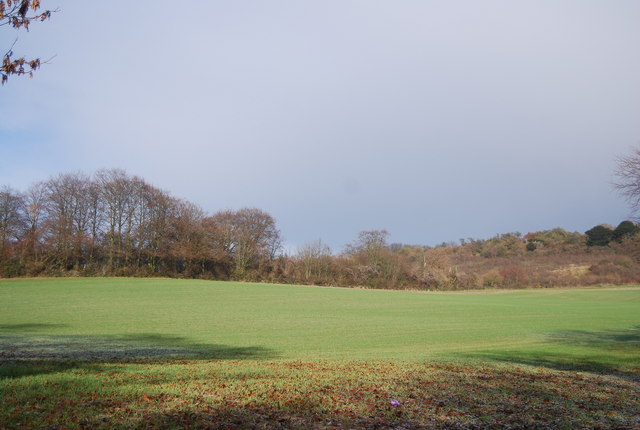 File:High Wood - geograph.org.uk - 2265820.jpg