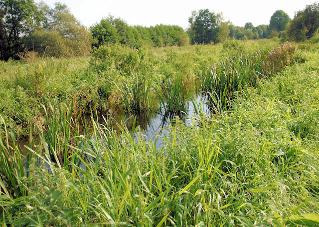 Itchen Marshes - geograph.org.uk - 981942