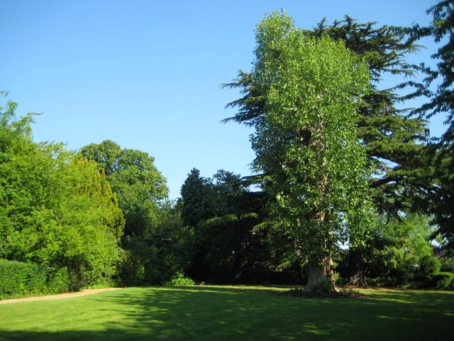 File:Kings Langley, The Village Garden - geograph.org.uk - 1336097.jpg