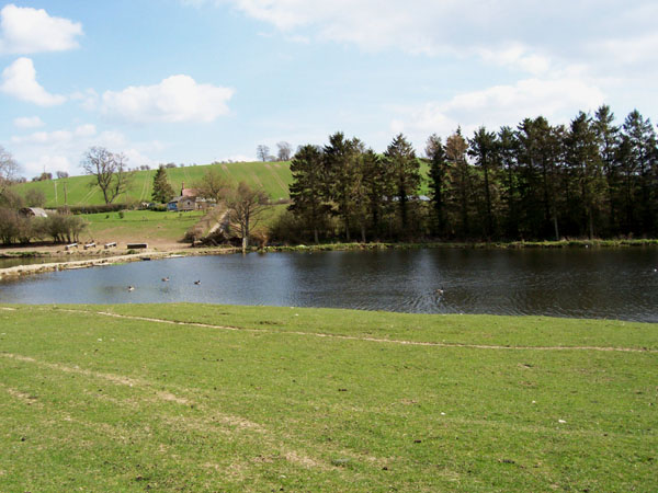 File:Lake and Harp House - geograph.org.uk - 398210.jpg