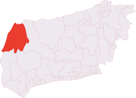 Midhurst (electoral division)