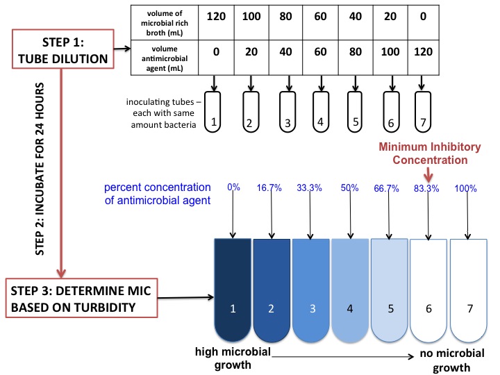 Broth Dilution Assay. The MIC is determined by evaluation of turbidity of tubes with constantly increasing concentration of antimicrobial agent.