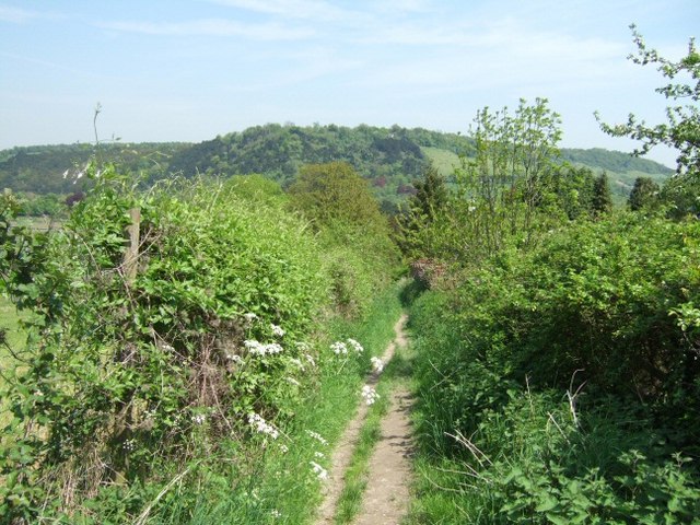 Mole Gap Trail - geograph.org.uk - 167787