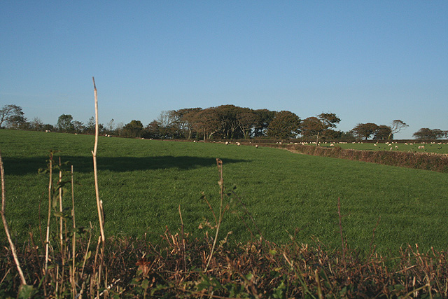 File:North Petherwin, near Brazacott - geograph.org.uk - 576148.jpg