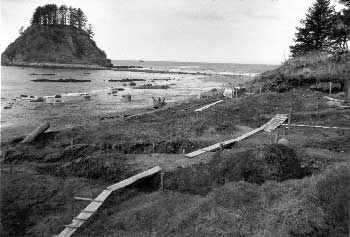 Photo of Ozette Indian Village Archaeological Site