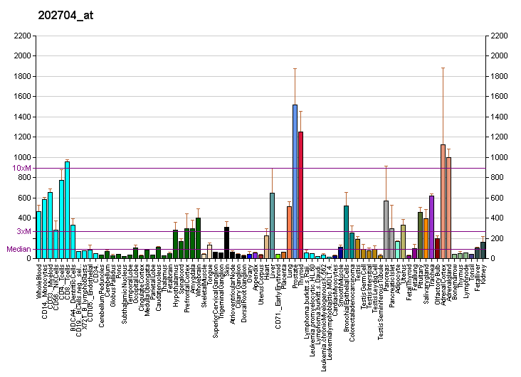 File:PBB GE TOB1 202704 at fs.png