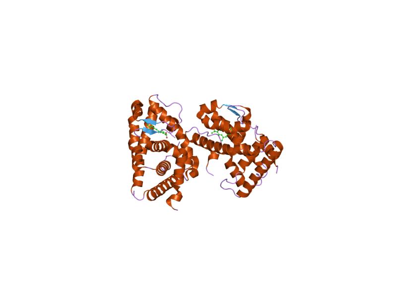 File:PDB 1fby EBI.jpg