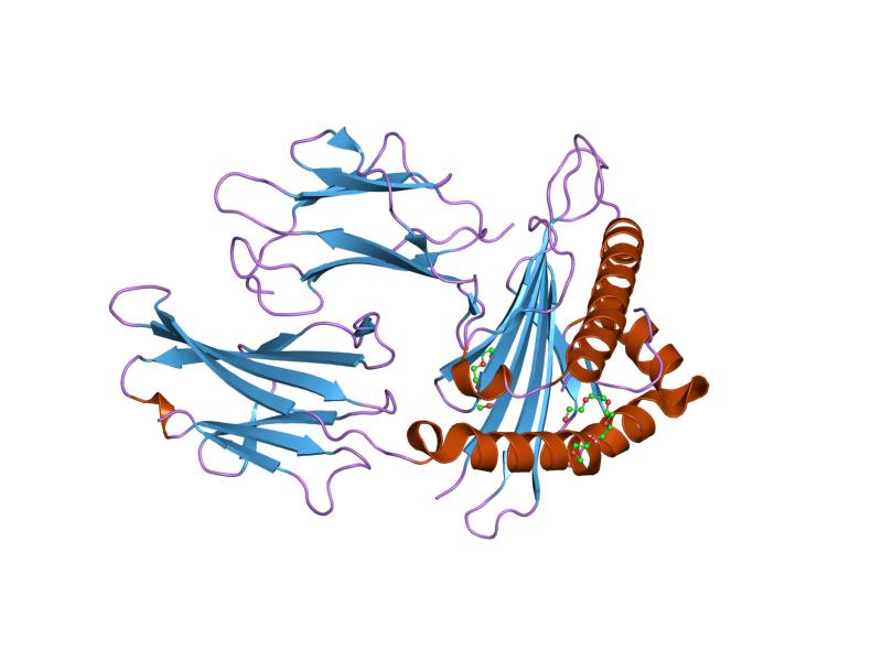 File:PDB 1i4f EBI.jpg