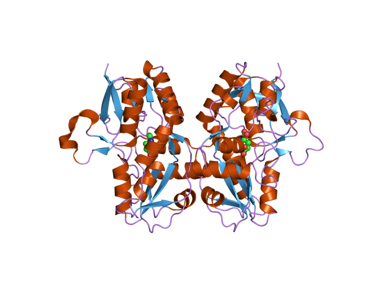 File:PDB 2i3w EBI.png