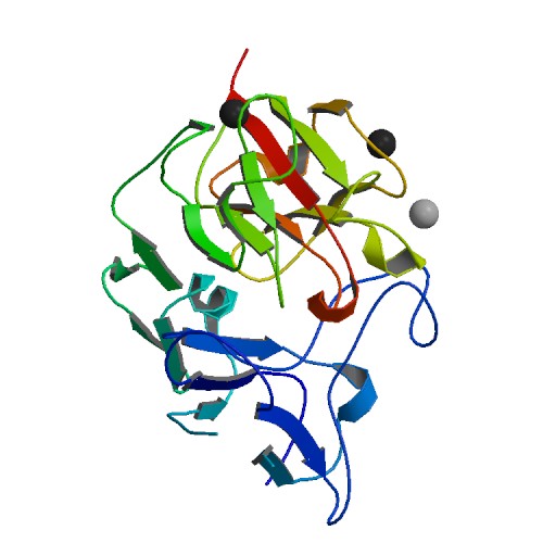 File:PDB 3rd repeat of Reelin protein.jpg