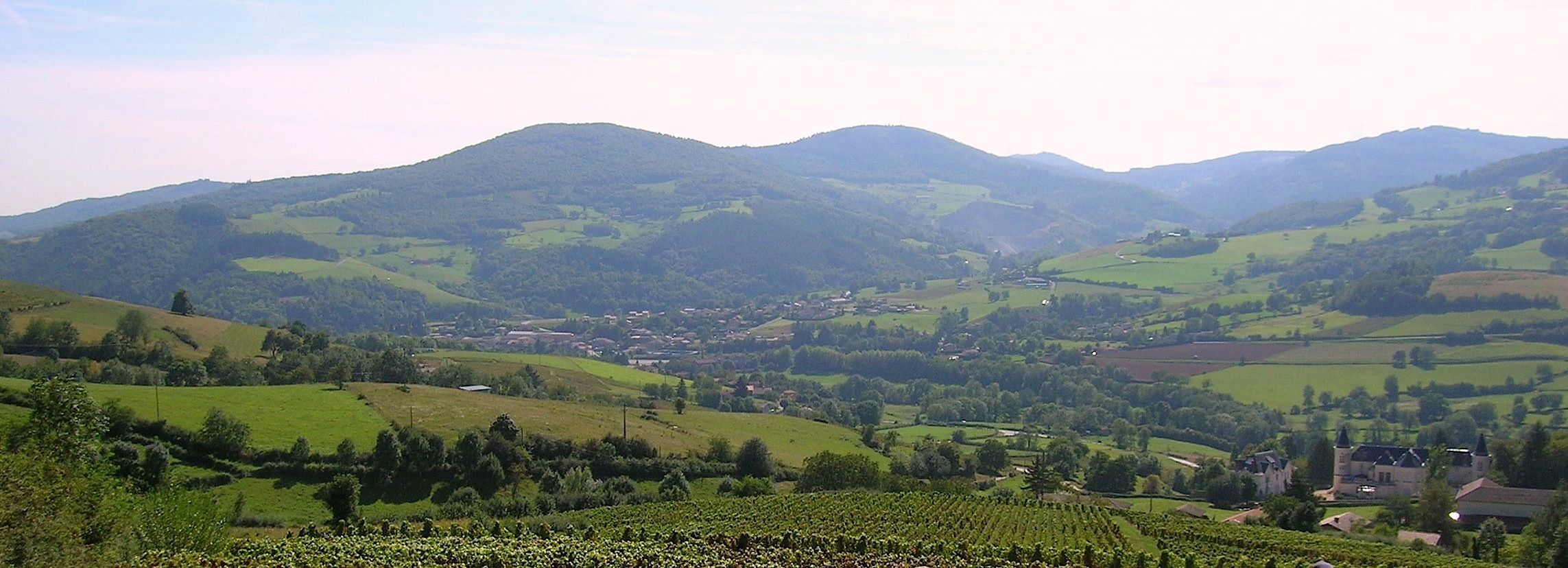 Saint-didier-sur-beaujeu