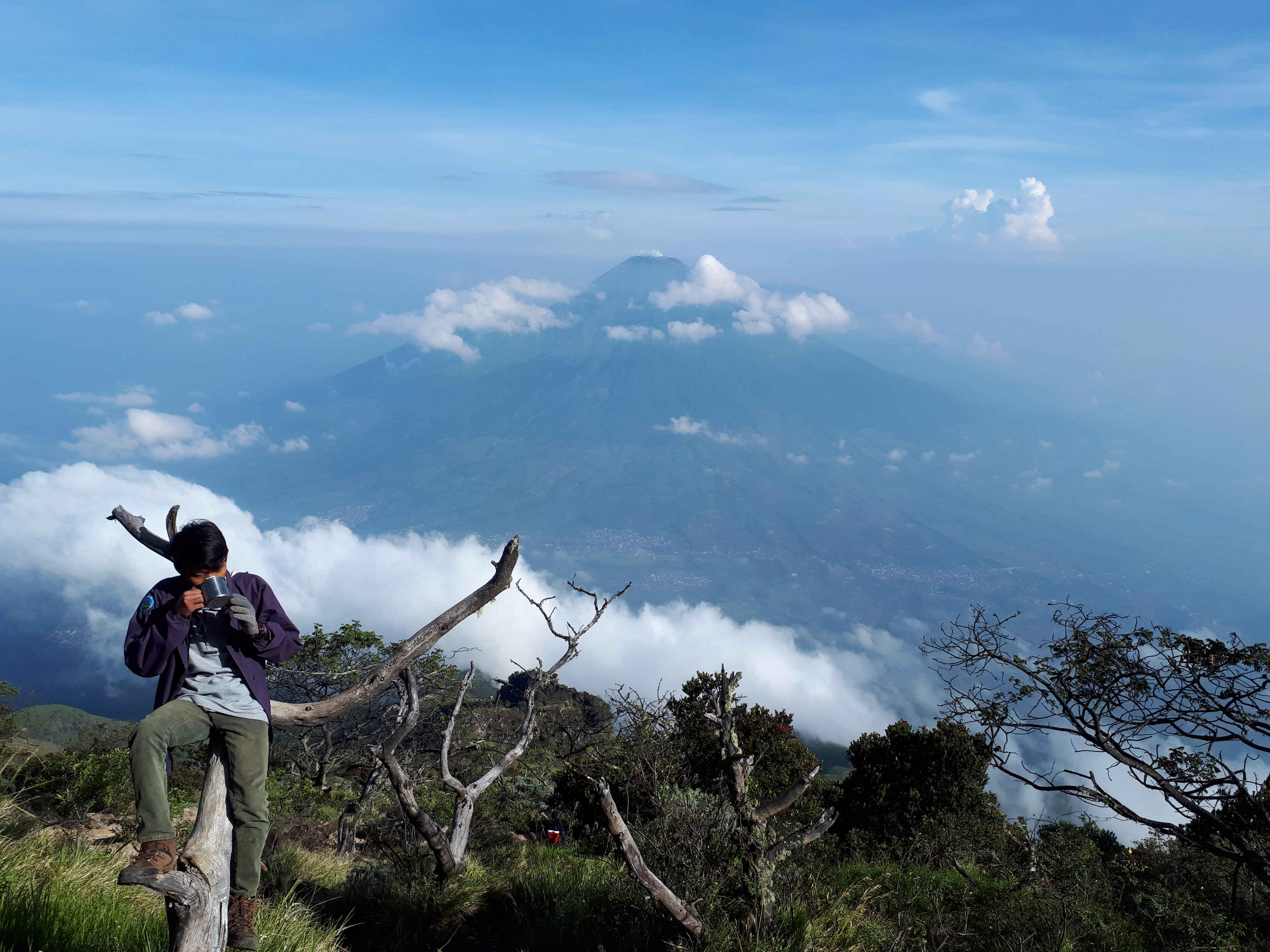 Filepemandangan Gunung Sindoro Dilihat Dari Gunung Sumbingjpg