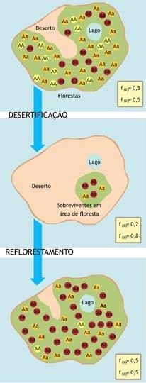 Qual a importancia da genetica