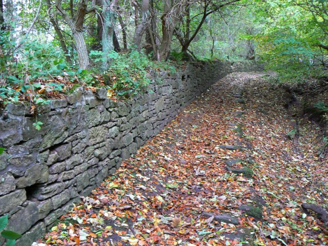 File:Retaining wall - geograph.org.uk - 1557664.jpg