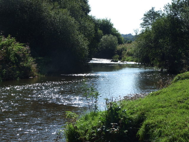 File:River Otter - geograph.org.uk - 1064671.jpg