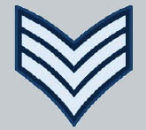 File:Sgt badge.jpg