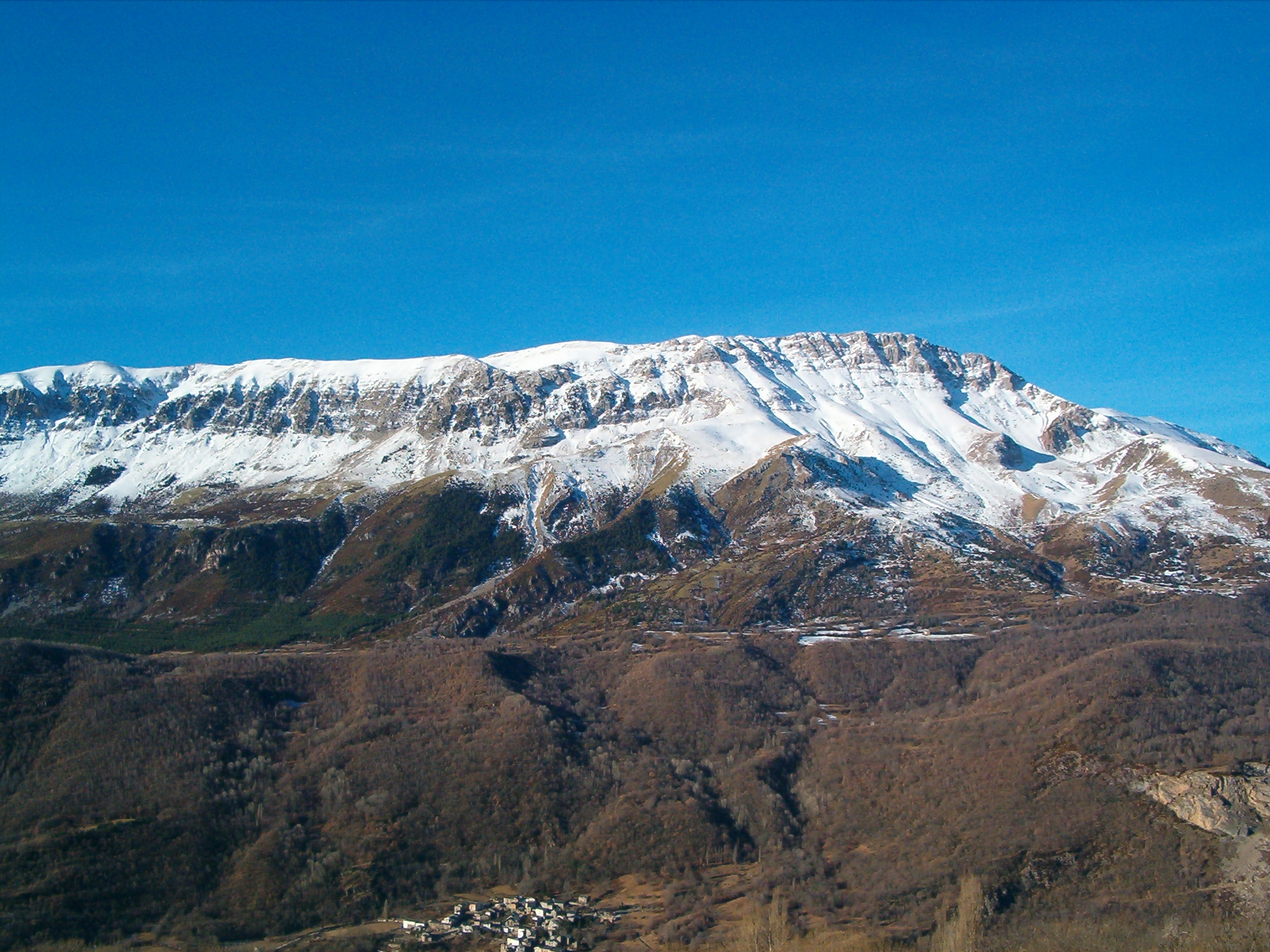 Sierra de arco para que sirve