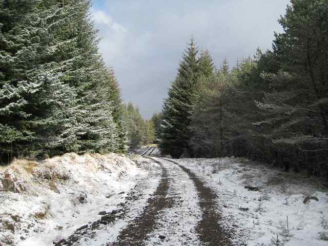 File:Snowy track - geograph.org.uk - 734616.jpg