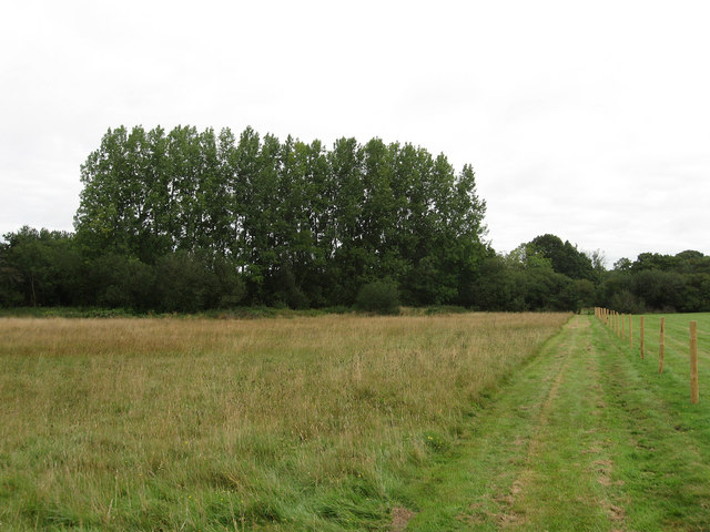 Sussex Border Path - geograph.org.uk - 1445928