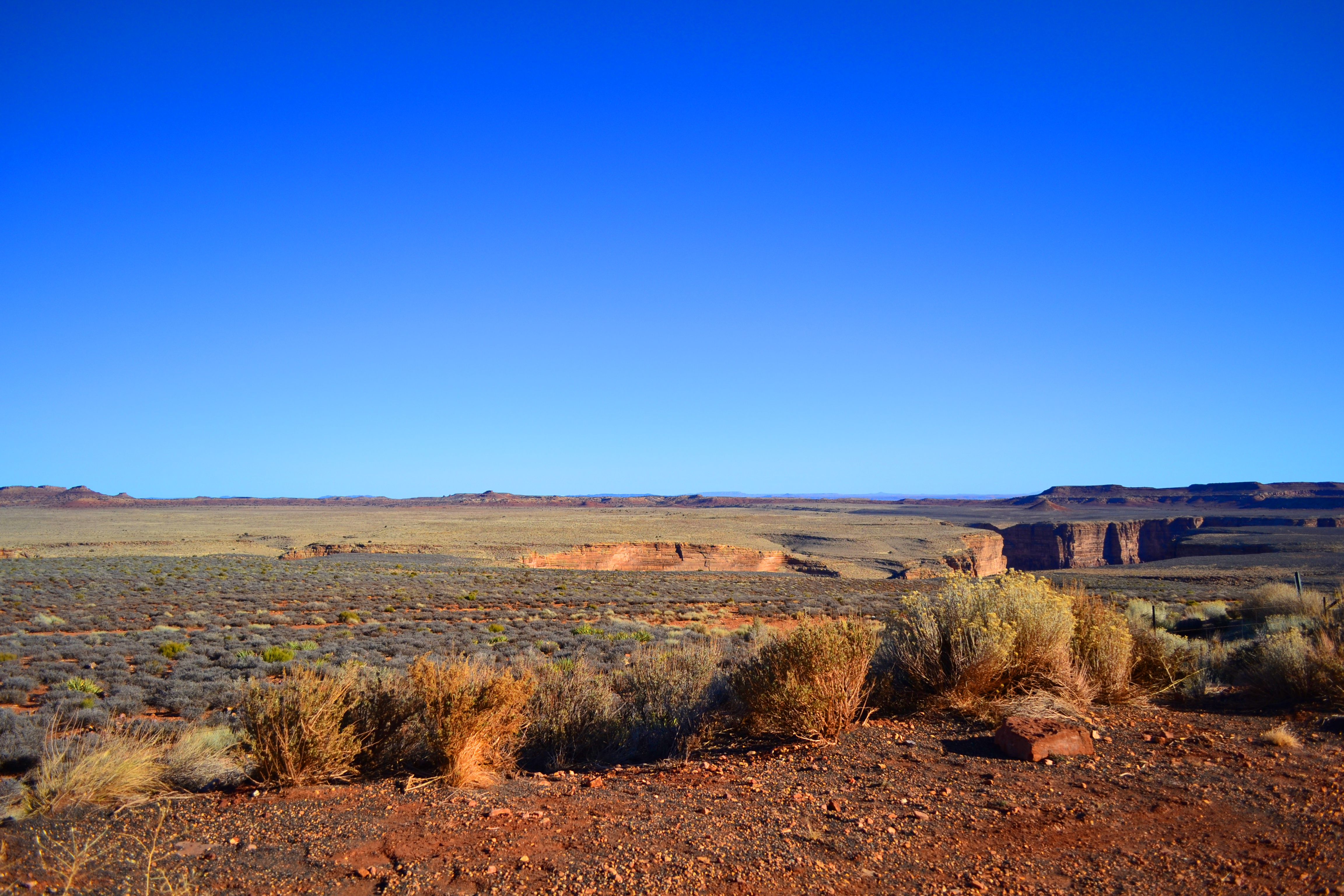 Пустыня Аризона. Пустыня Аризона на карте. Arizona Desert Ironwood.