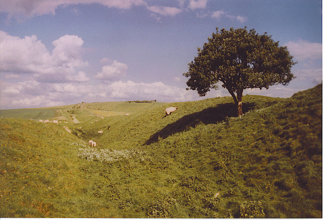 The Wansdyke, Looking East to Milk Hill. - geograph.org.uk - 187168