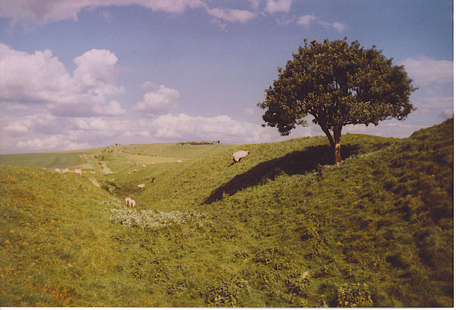 File:The Wansdyke, Looking East to Milk Hill. - geograph.org.uk - 187168.jpg