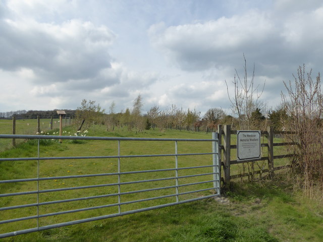 File:The Wendover Memorial Woodland - geograph.org.uk - 6128762.jpg