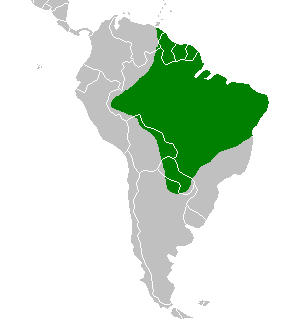 ファイル:Toco toucan range.PNG