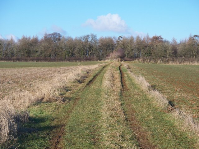 Towards Whichford Wood - geograph.org.uk - 1656166
