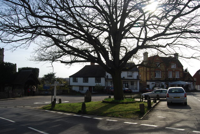 Tree in the centre of Brenchley - geograph.org.uk - 1815578