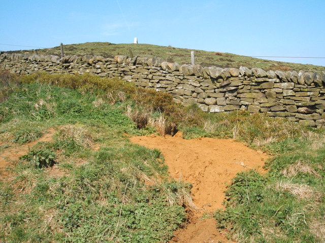 Trig point and badger sett - geograph.org.uk - 1266213