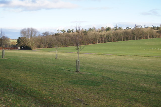File:View across Sydmonton Estate - geograph.org.uk - 3857867.jpg