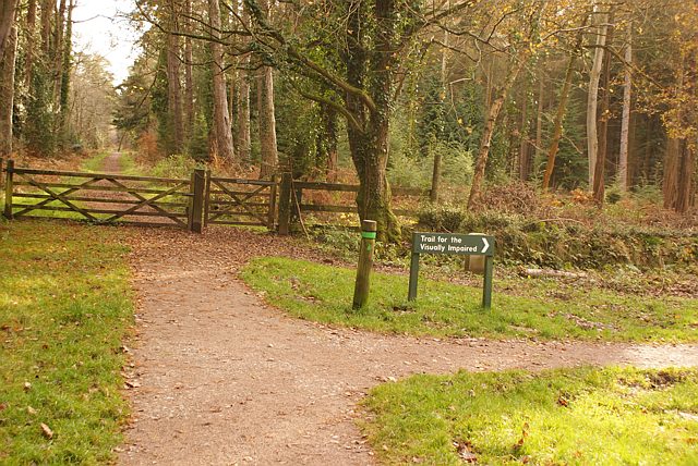 File:Visually impaired trail, Cyril Hart, arboretum, Forest of Dean - geograph.org.uk - 1053511.jpg