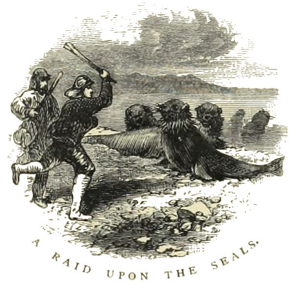 File:A Raid Upon the Seals.jpg