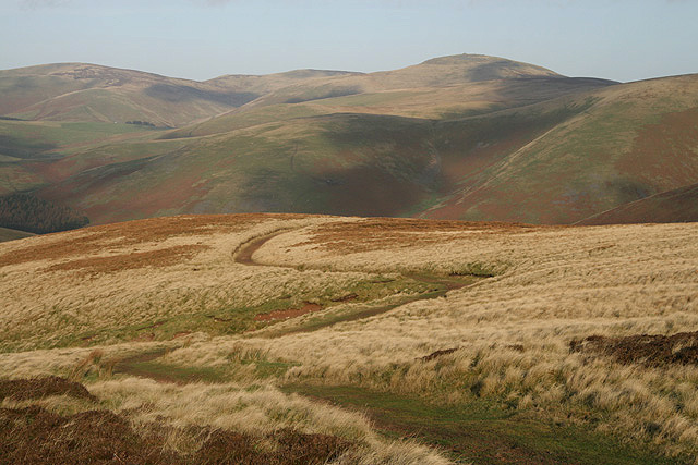 File:A track on Outer Cock Law - geograph.org.uk - 1049355.jpg