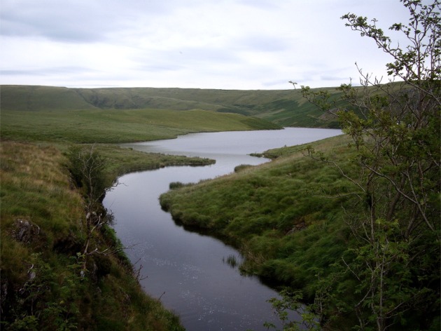 File:Afon Cletwr flowing into Craig Coch Reservoir - geograph.org.uk - 508827.jpg