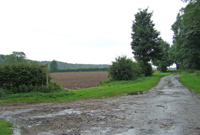 File:At the end of Habrough Lane - geograph.org.uk - 502766.jpg