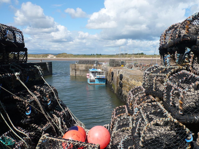 File:Beadnell Harbour - geograph.org.uk - 1321078.jpg