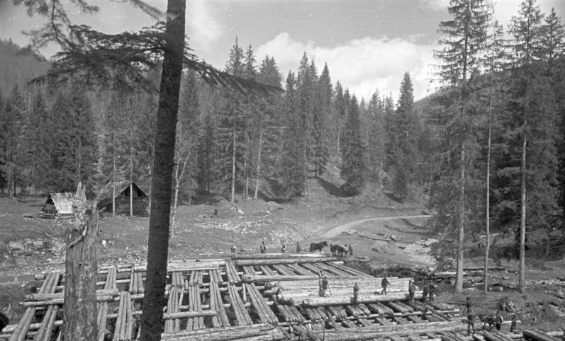 File:Bundesarchiv B 145 Bild-F016229-0019, Holzeinschlag in Jugoslawien.jpg