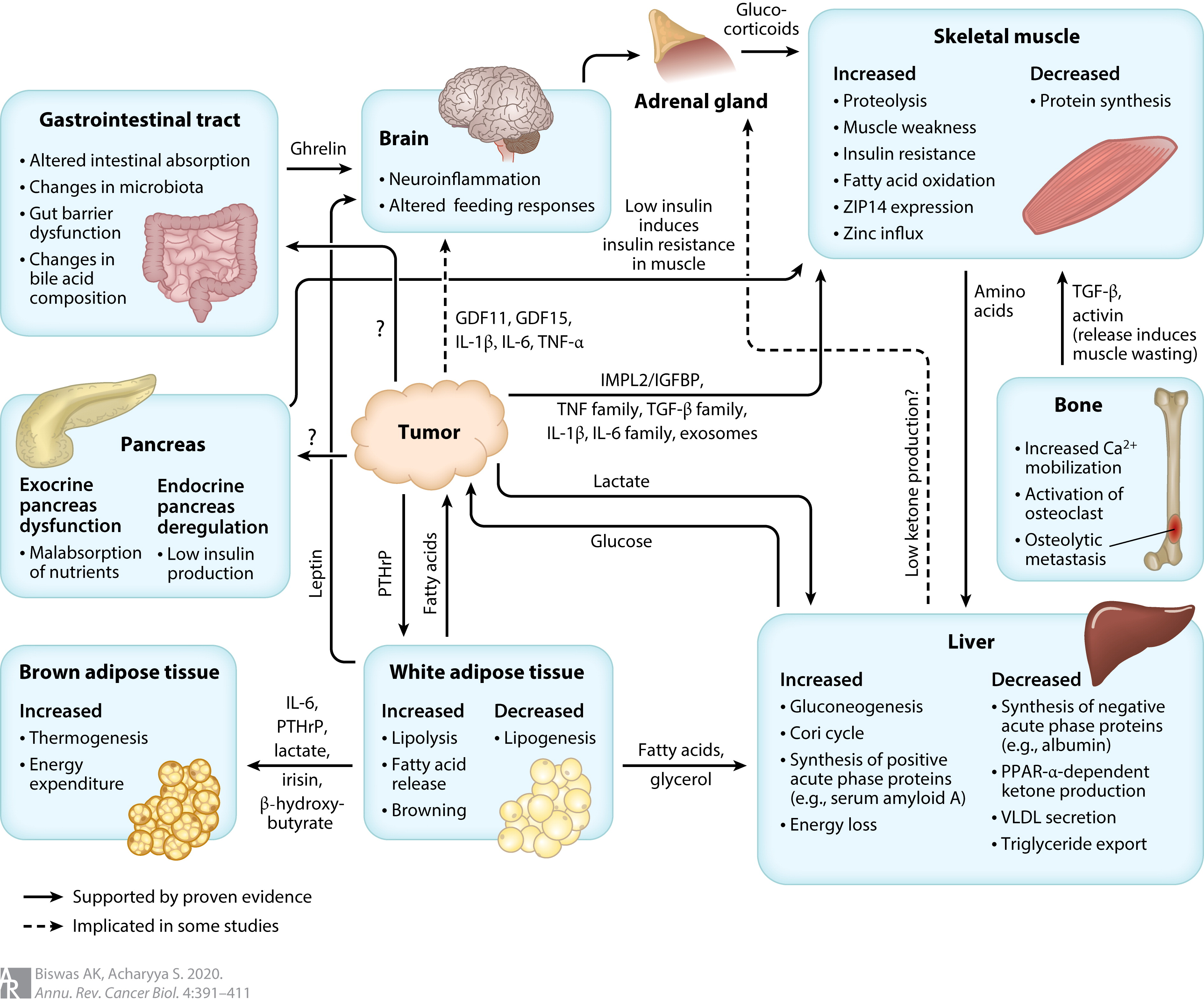 Loss of appetite with copd