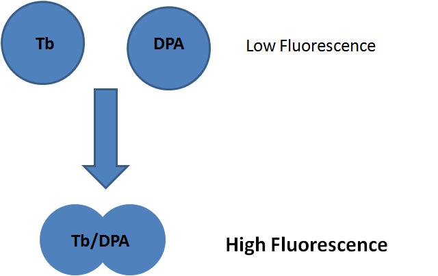 File:Content mixing assay based on fluorescence enhancement pair Tb3+-DPA.jpg