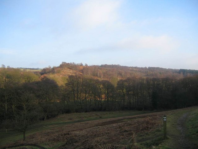 Downs Banks - geograph.org.uk - 1082481