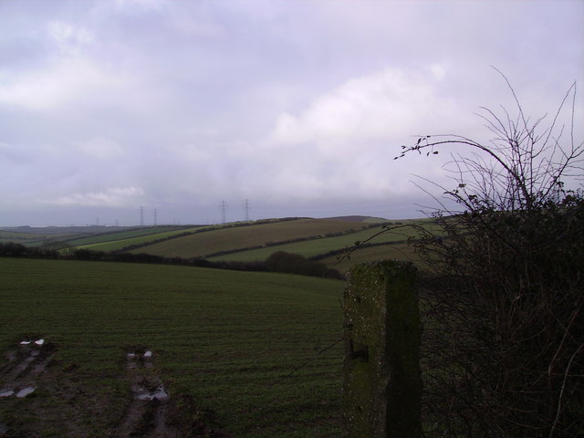 File:Farmland Dendron - geograph.org.uk - 134908.jpg