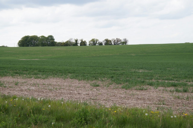 File:Farmland south of the A339 - geograph.org.uk - 3465891.jpg